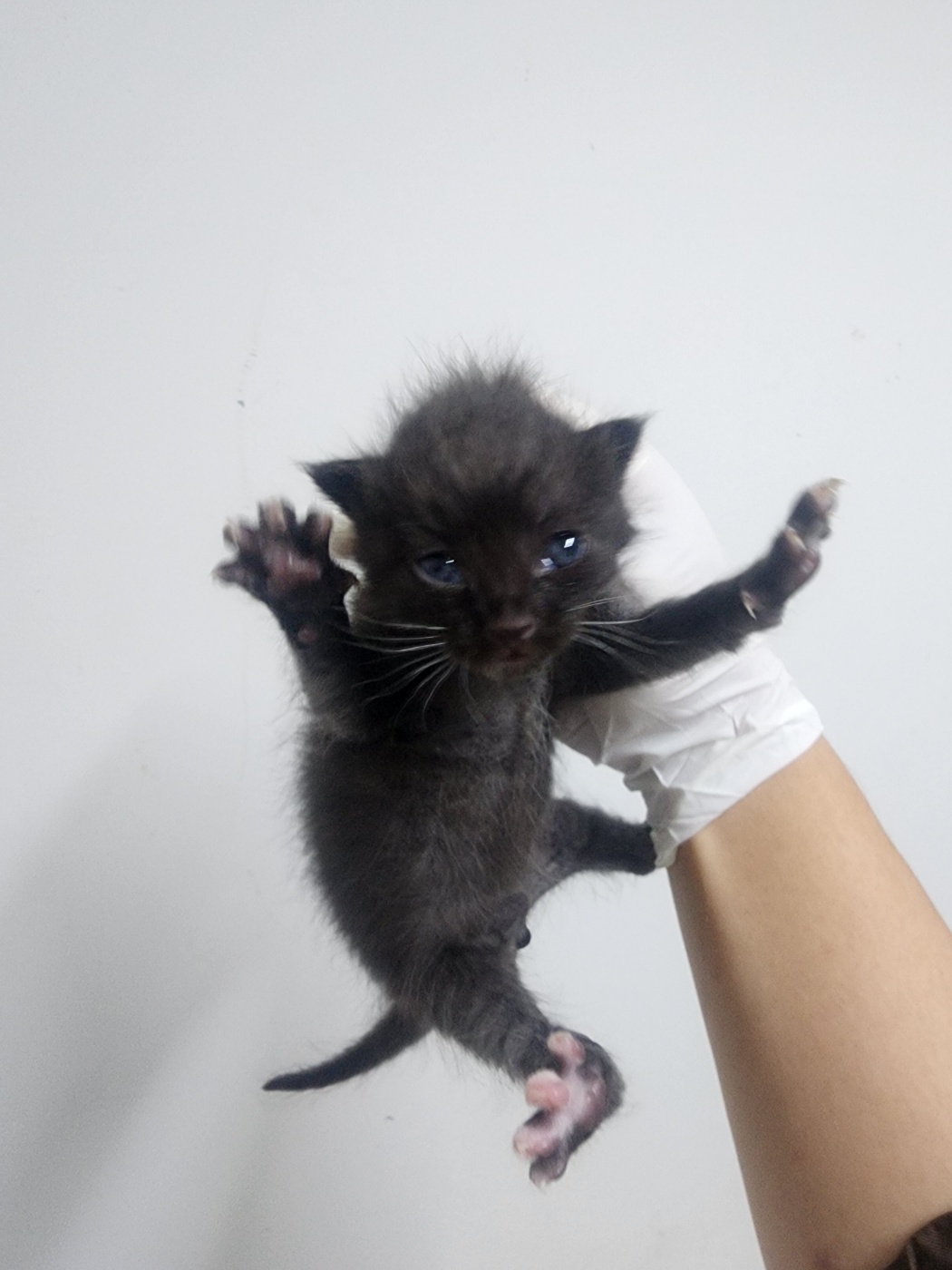 인천광역시수의사회_428353202500989